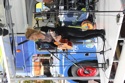 Selah Sue